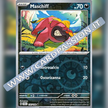 135/198 Maschiff Reverse | Scarlatto e Violetto
