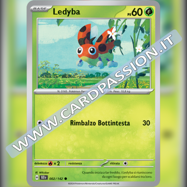 002/142 Ledyba | Corona Astrale
