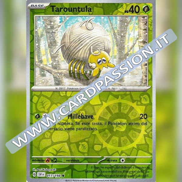 017/198 Tarountula Reverse | Scarlatto e Violetto