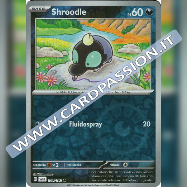 120/191 Shroddle Reverse | Scintille Folgoranti