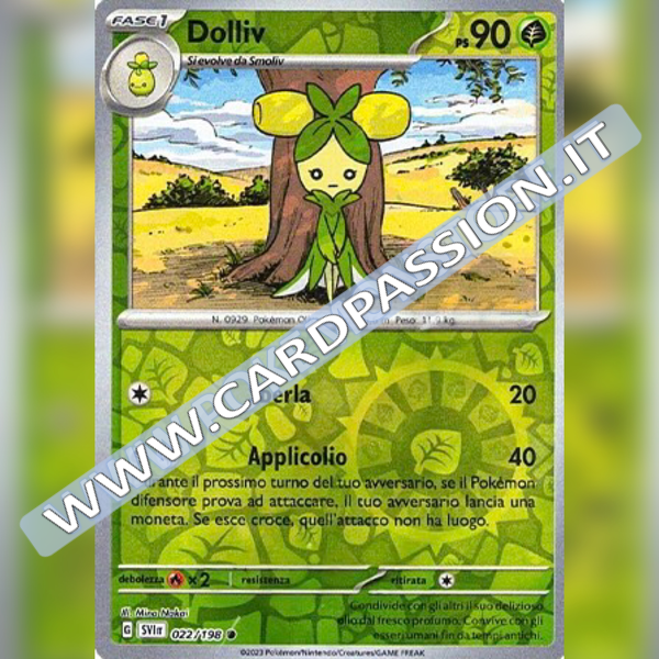 022/198 Dolliv Reverse | Scarlatto e Violetto