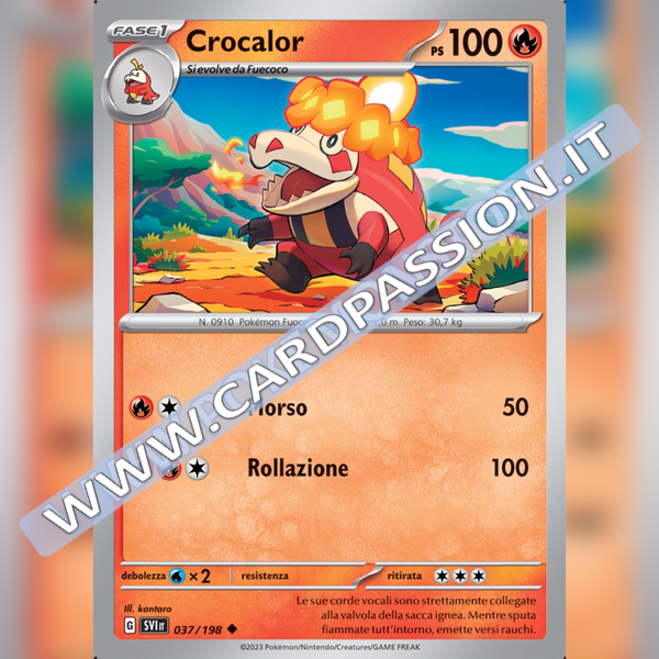 037/198 Crocalor | Scarlatto e Violetto