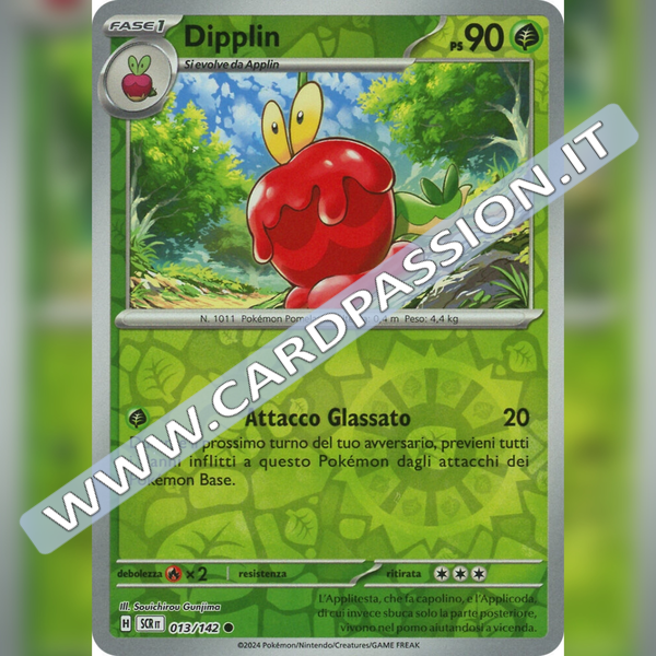 013/142 Dipplin Reverse | Corona Astrale