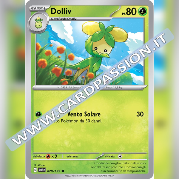 020/197 Dolliv | Ossidiana Infuocata