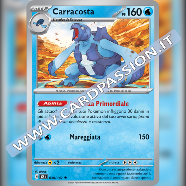 038/142 Carracosta Holo | Corona Astrale