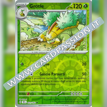 011/162 Grotle Reverse | Cronoforze