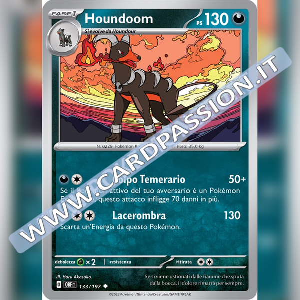 133/197 Houdoom | Ossidiana Infuocata