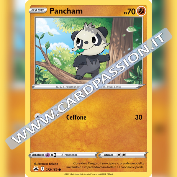 072/159 Pancham | Zenit Regale