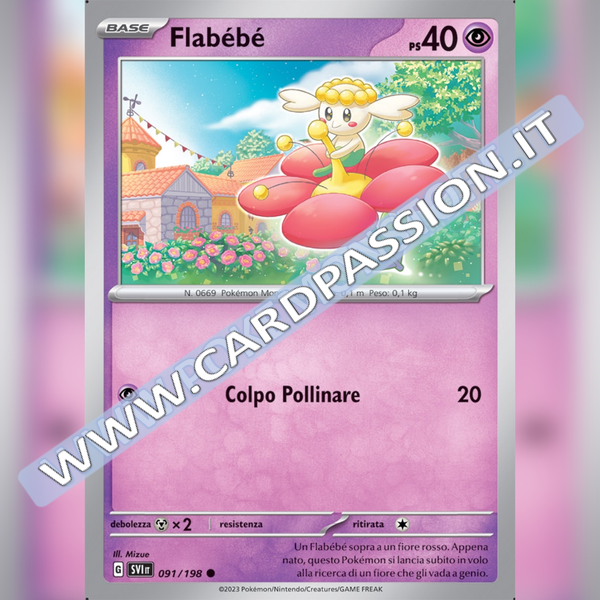 091/198 Flabebe | Scarlatto e Violetto