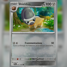 061/084 Shieldon Reverse | Buio Pesto