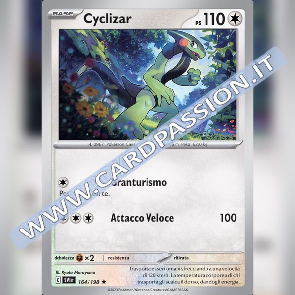164/198 Cyclizar Holo | Scarlatto e Violetto