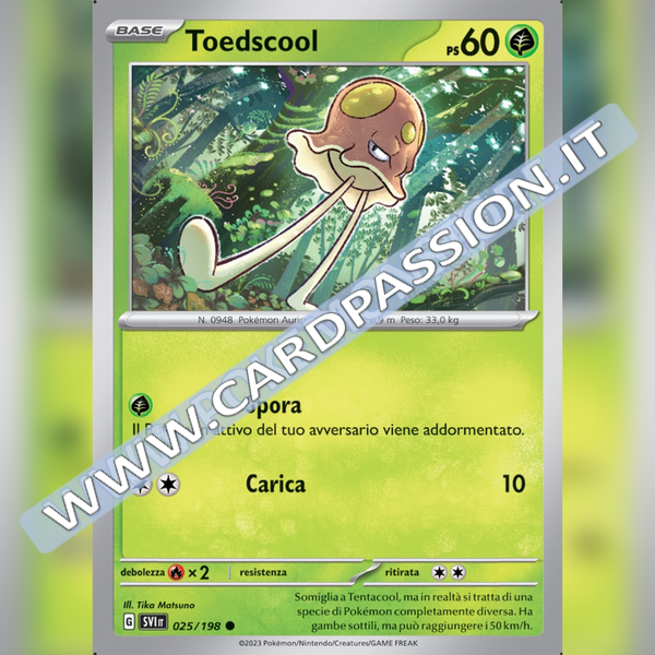 025/198 Toedscool | Scarlatto e Violetto