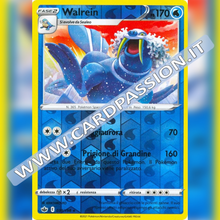 039/198 Walrein Reverse | Regno Glaciale - Card Passion