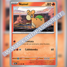 011/091 Numel | Destino di Paldea
