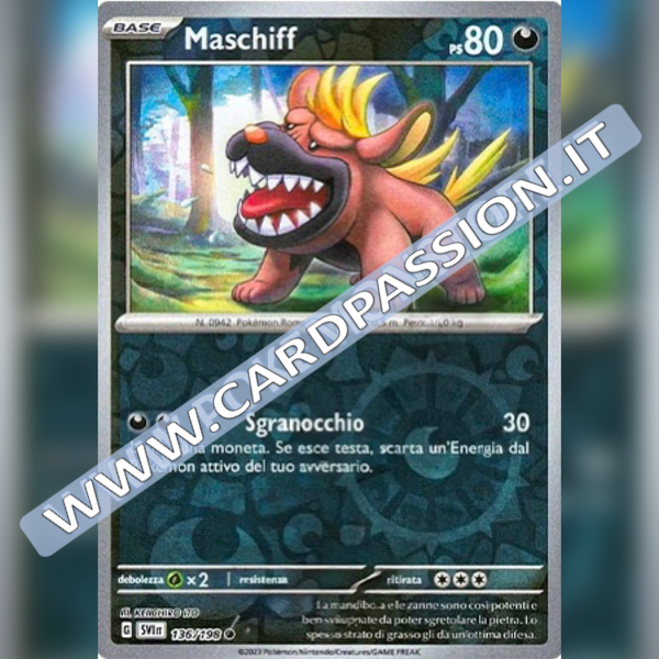 136/198 Maschiff Reverse | Scarlatto e Violetto