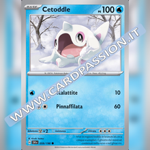 059/198 Cetoddle | Scarlatto e Violetto