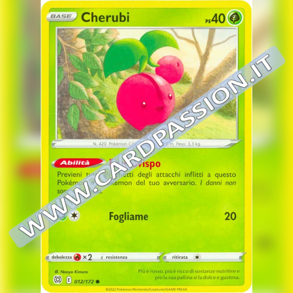 012/172 Cherubi | Astri Lucenti - Card Passion