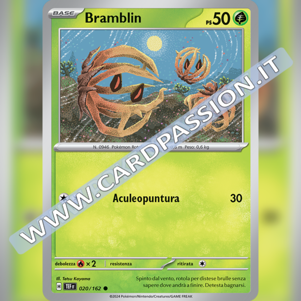 020/162 Bramblin | Cronoforze