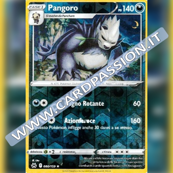 080/159 Pangoro Reverse | Zenit Regale