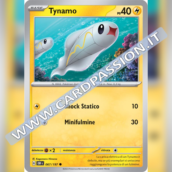 067/197 Tynamo | Ossidiana Infuocata