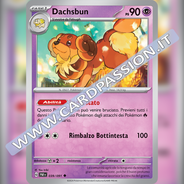 039/091 Dachsbun | Destino di Paldea