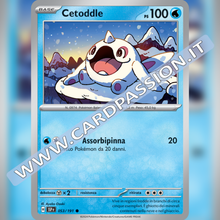 053/191 Cetoddle | Scintille Folgoranti