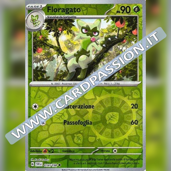 014/198 Floragato Reverse | Scarlatto e Violetto