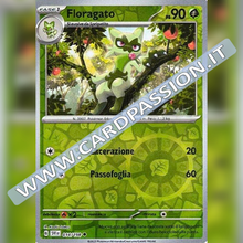 014/198 Floragato Reverse | Scarlatto e Violetto