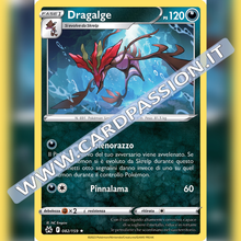 082/159 Dragalge | Zenit Regale