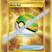 255/198 Minor Ball Gold | Scarlatto e Violetto