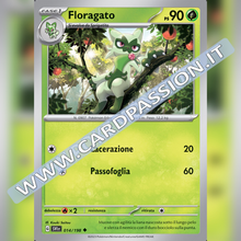 014/198 Floragato | Scarlatto e Violetto