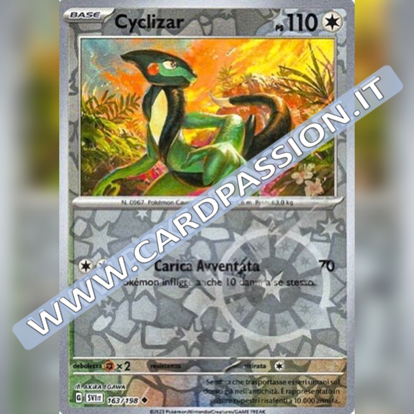 163/198 Cyclizar Reverse | Scarlatto e Violetto