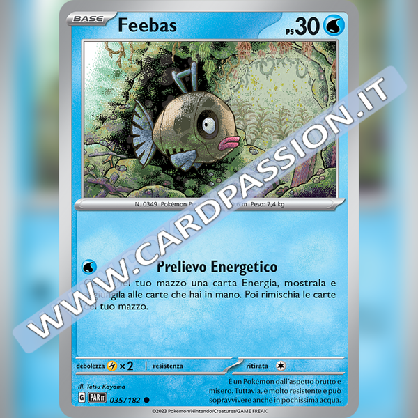035/182 Feebas | Paradosso Temporale