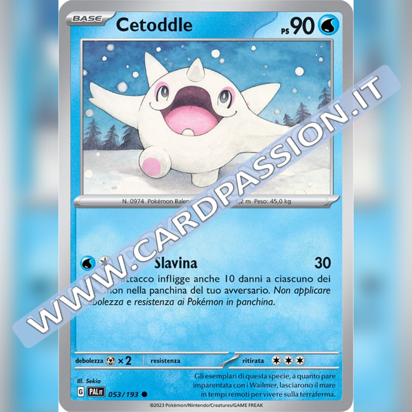 053/193 Cetoddle | Evoluzioni a Paldea