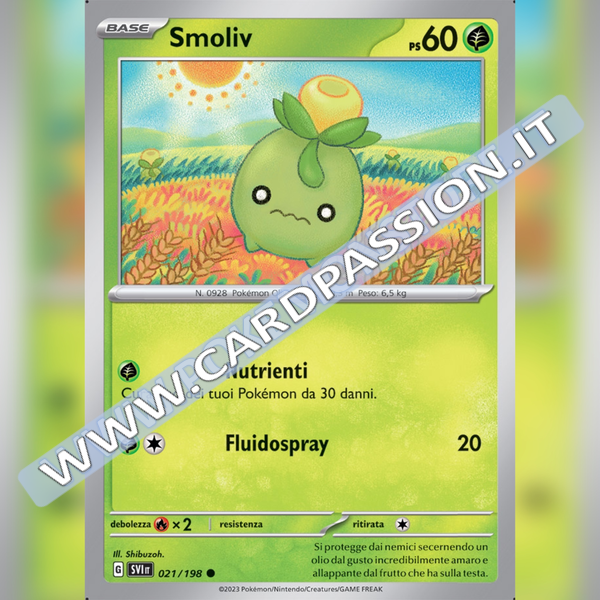 021/198 Smoliv | Scarlatto e Violetto
