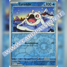 053/191 Cetoddle Reverse | Scintille Folgoranti