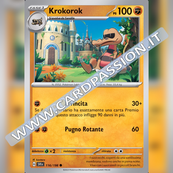 116/198 Krokorok | Scarlatto e Violetto