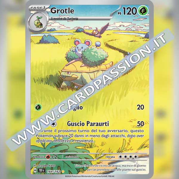 164/162 Grotle Illustrazione Rara | Cronoforze