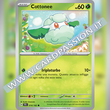 014/162 Cottonee | Cronoforze