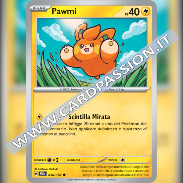 056/142 Pawmi | Corona Astrale