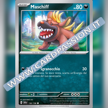 136/198 Maschiff | Scarlatto e Violetto