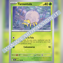 016/198 Tarountula | Scarlatto e Violetto