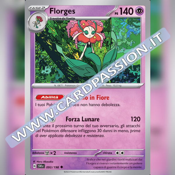 093/198 Florges | Scarlatto e Violetto