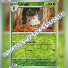 006/191 Spewpa Reverse | Scintille Folgoranti
