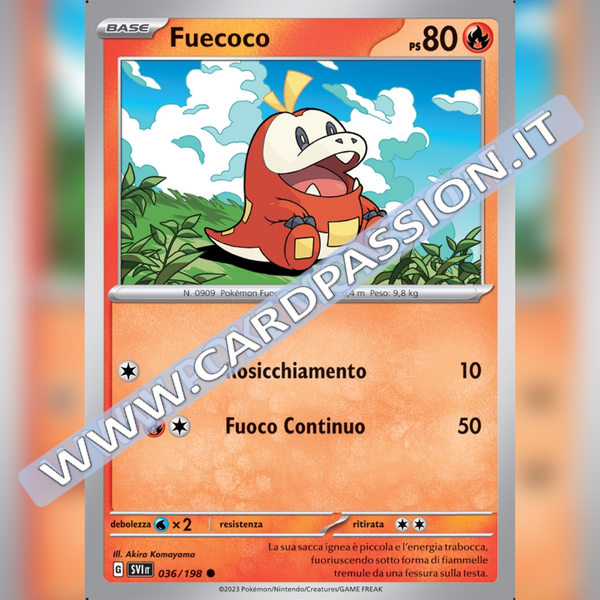 036/198 Fuecoco | Scarlatto e Violetto