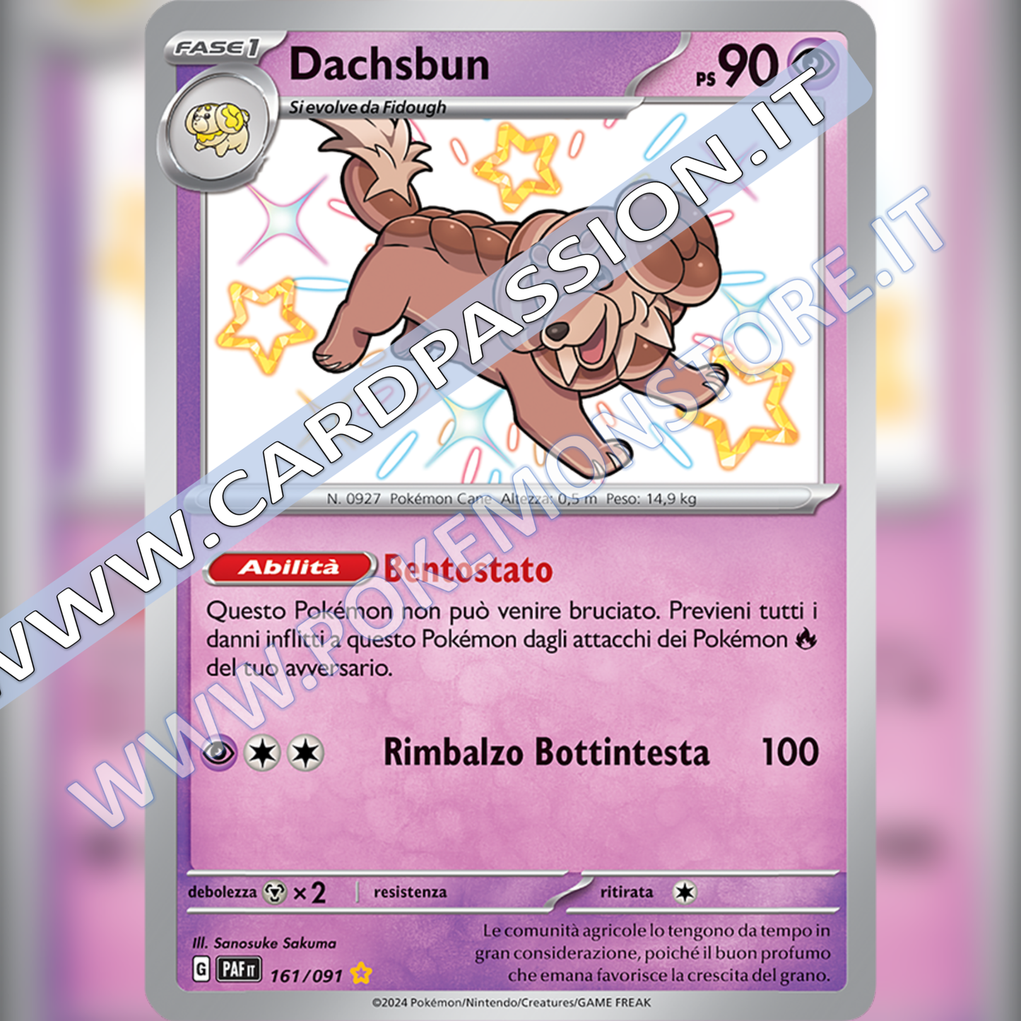 161/091 Dachsbun Shiny | Destino di Paldea