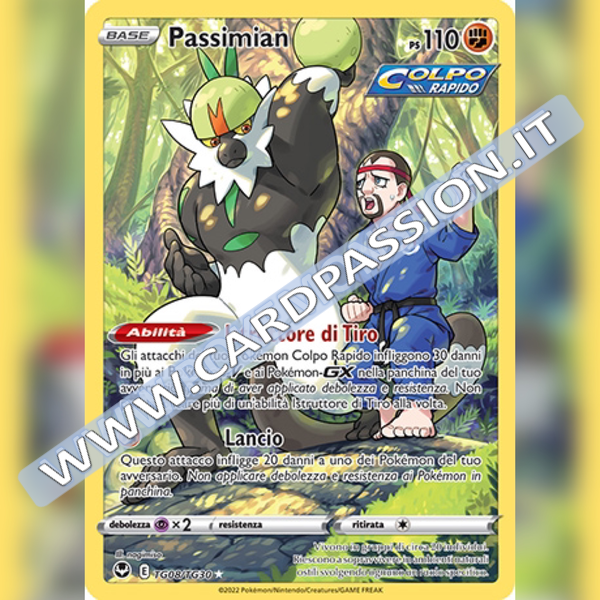 TG08/TG30 Passimian | Tempesta Argentata