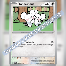 157/191 Tandemaus | Scintille Folgoranti