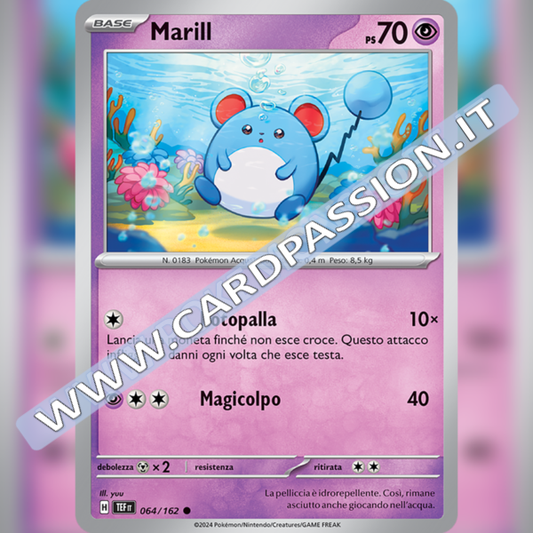 064/162 Marill | Cronoforze