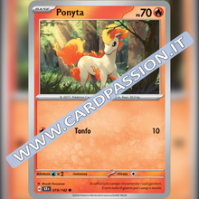 017/142 Toedscool | Corona Astrale